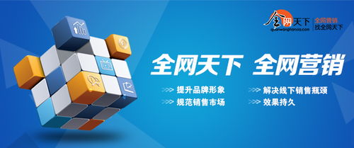 企业转变成全网营销可以怎么做